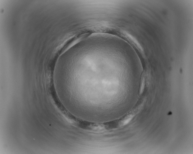 X0000066520113200603201333