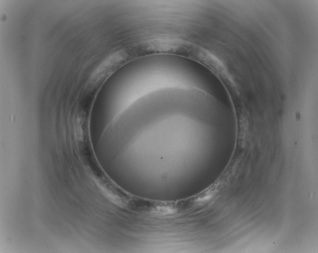 X0000066520114200603201333