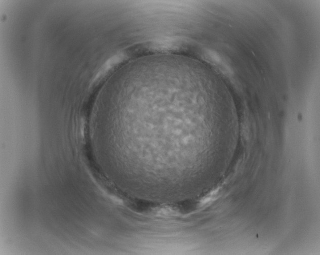 X0000066520115200603201333