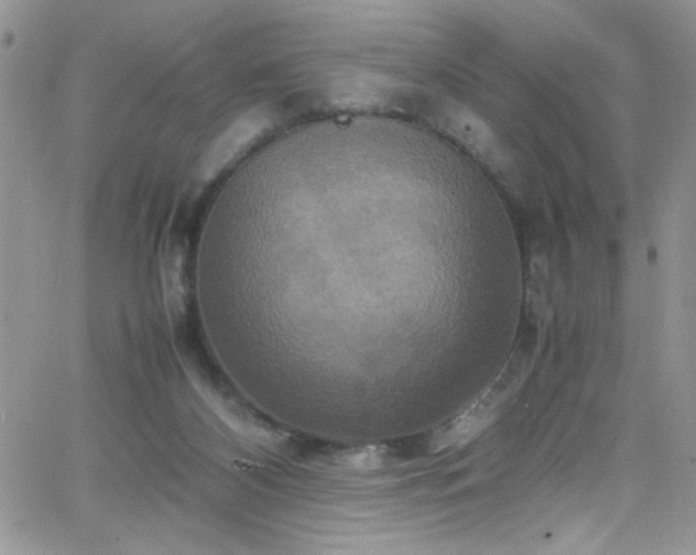 X0000066520116200603201333