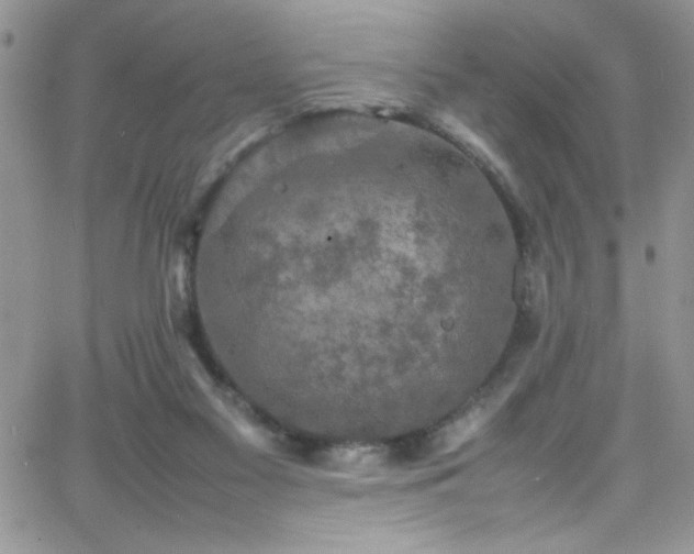 X0000066520117200603201333