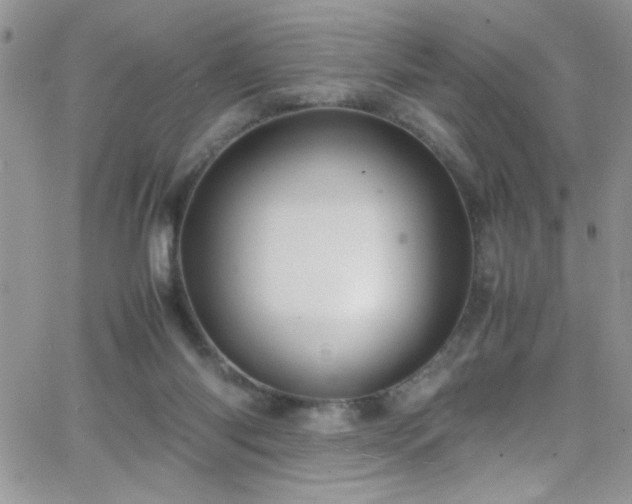 X0000066520118200603201333