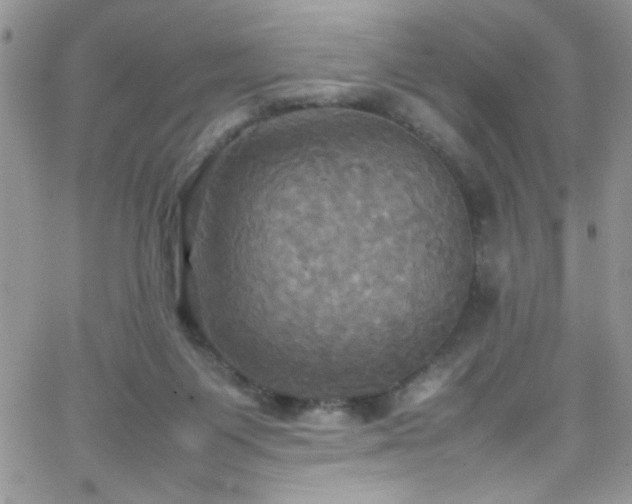 X0000066520119200603201333