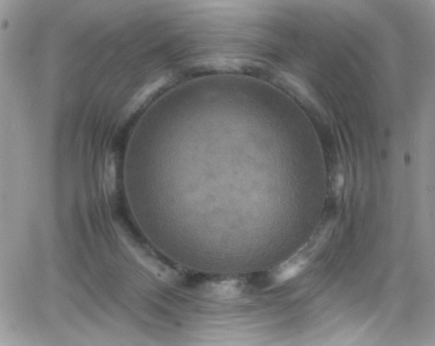 X0000066520120200603201333