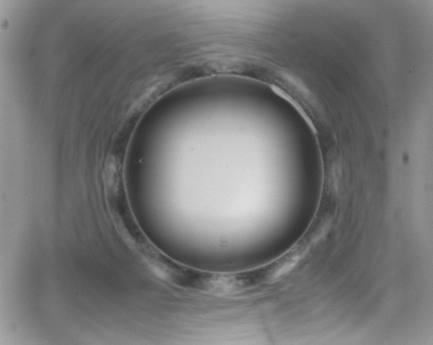 X0000066520121200603201333