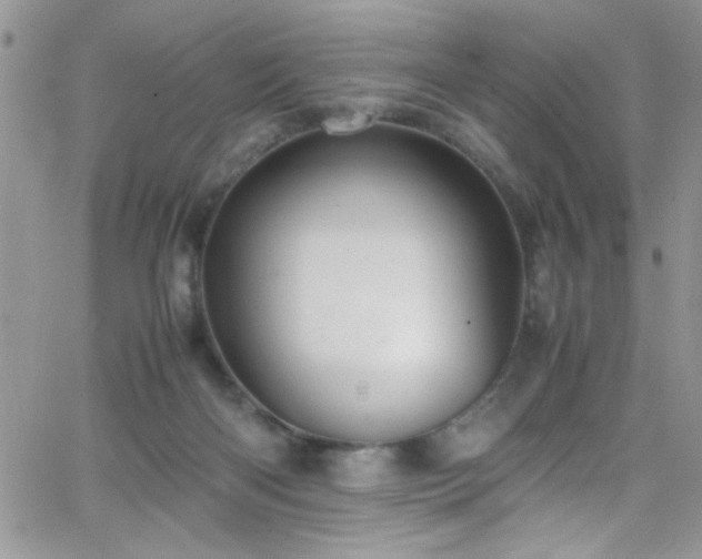 X0000066520122200603201333