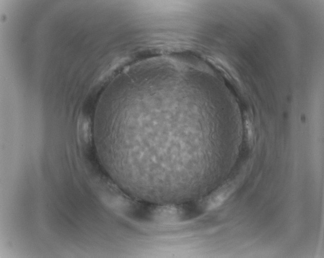 X0000066520123200603201333