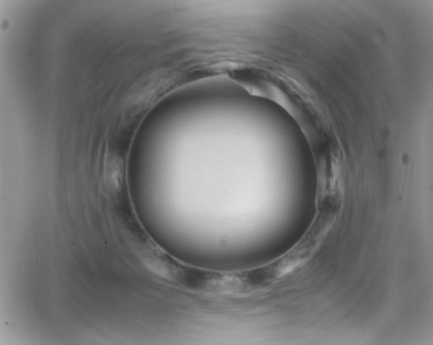 X0000066520125200603201333