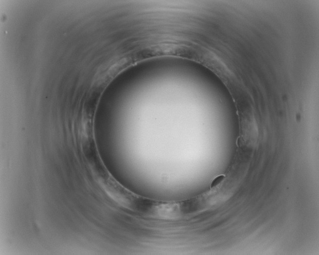 X0000066520126200603201333