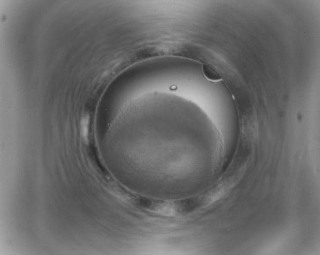 X0000066520127200603201333