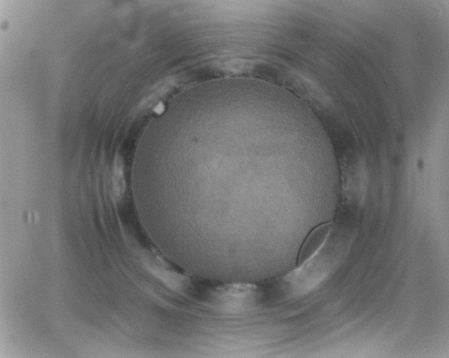 X0000066520128200603201333