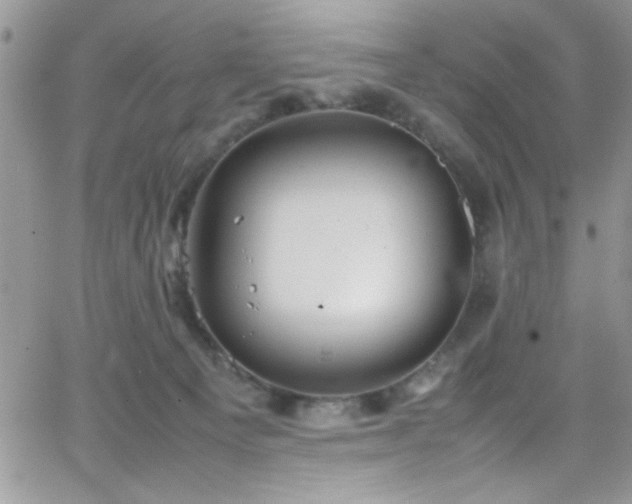 X0000066520129200603201333