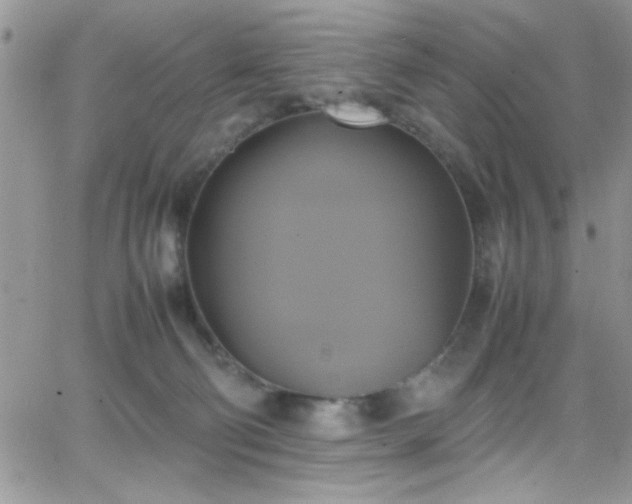 X0000066520130200603201333