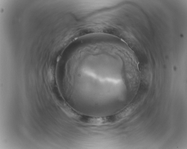 X0000066520131200603201333