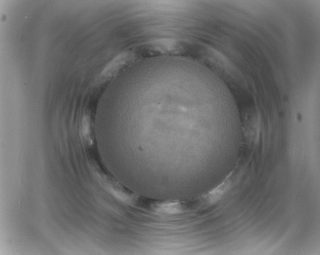 X0000066520132200603201333