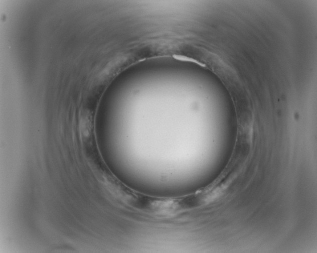 X0000066520133200603201333