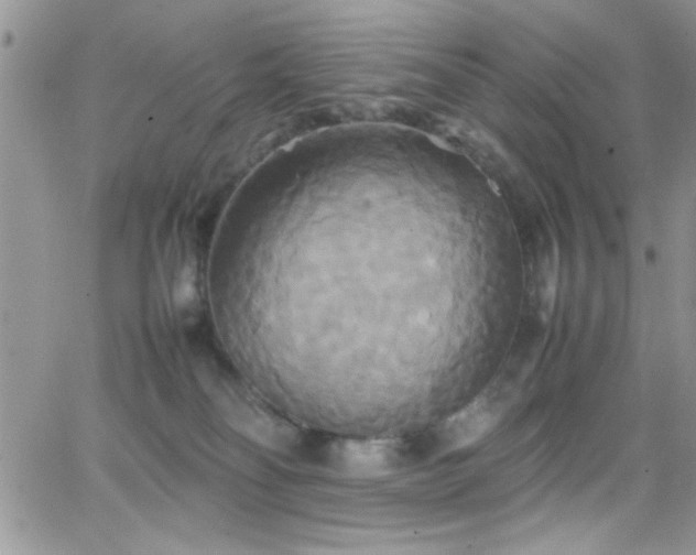 X0000066520134200603201333