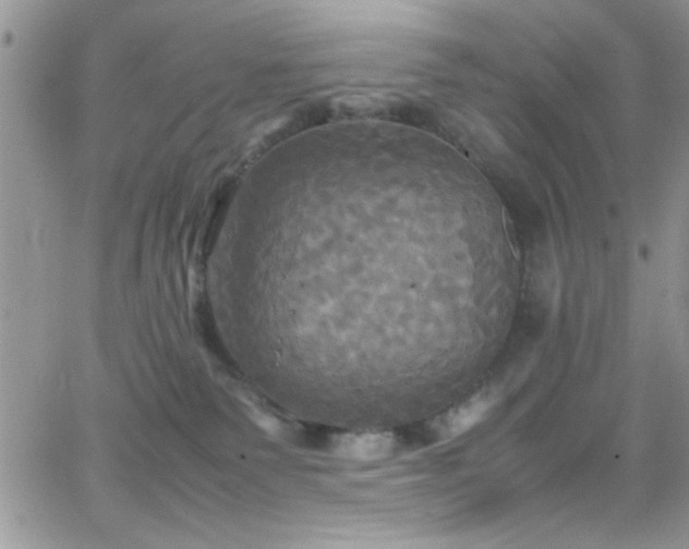 X0000066520135200603201333