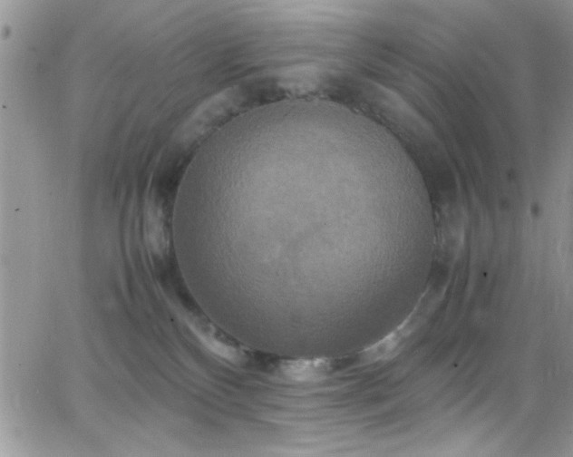 X0000066520136200603201333