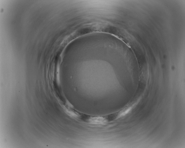 X0000066520137200603201333