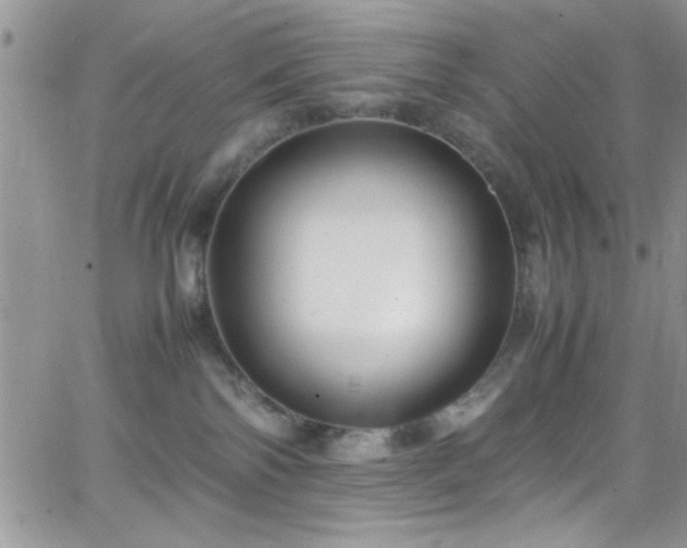 X0000066520138200603201333