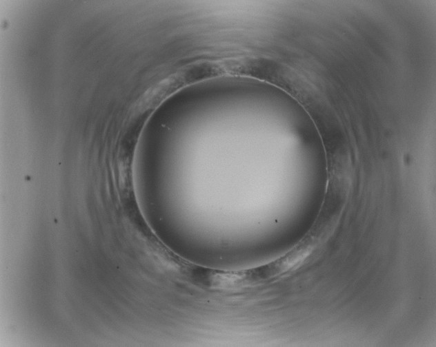 X0000066520139200603201333