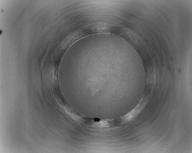 X0000066520140200603201333