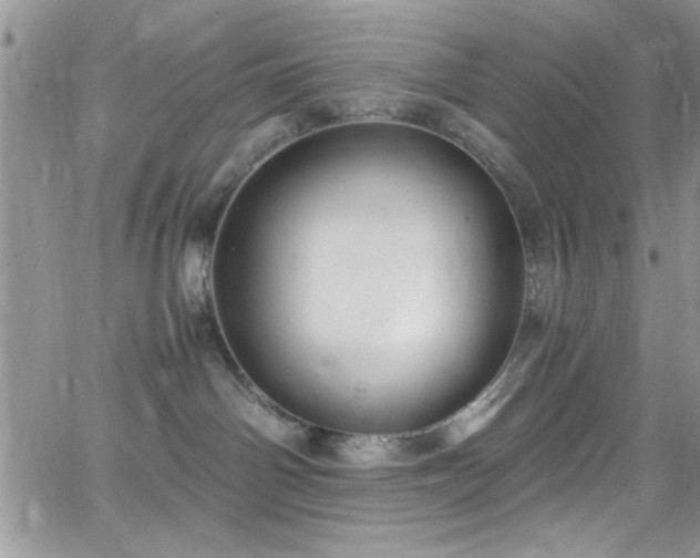 X0000066520142200603201333