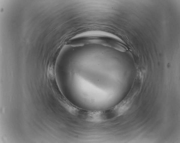 X0000066520143200603201333