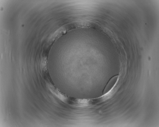 X0000066520144200603201333