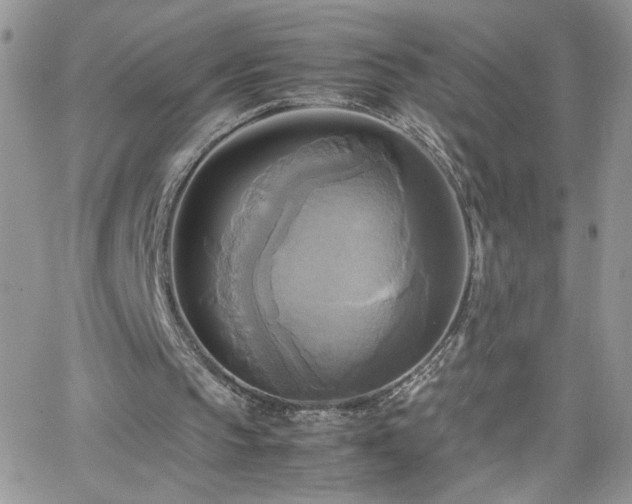 X0000066520145200603201332