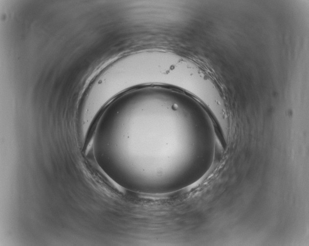 X0000066520146200603201332