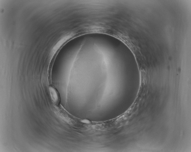 X0000066520147200603201332