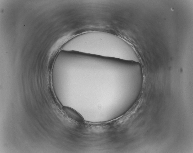 X0000066520149200603201332