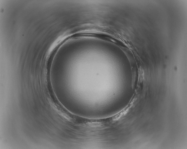 X0000066520150200603201332