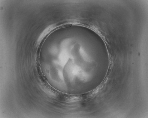 X0000066520151200603201332