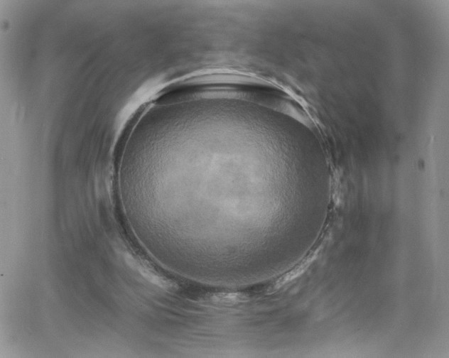 X0000066520152200603201332