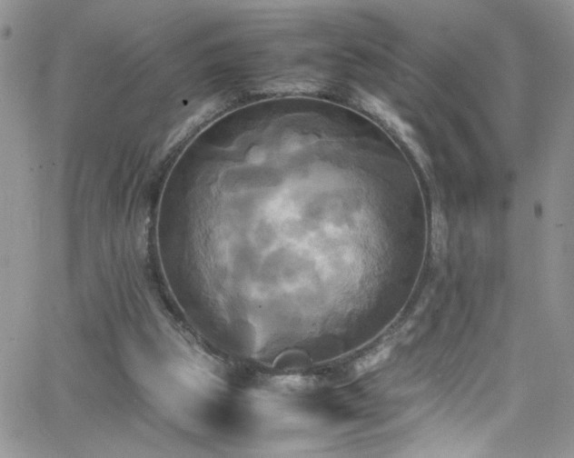 X0000066520153200603201332