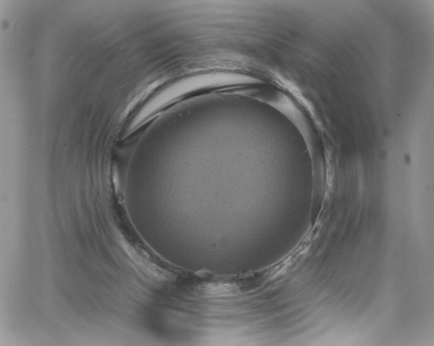 X0000066520154200603201332