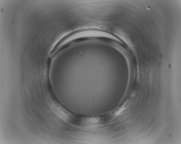 X0000066520156200603201332