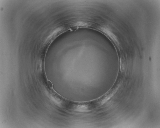 X0000066520157200603201332