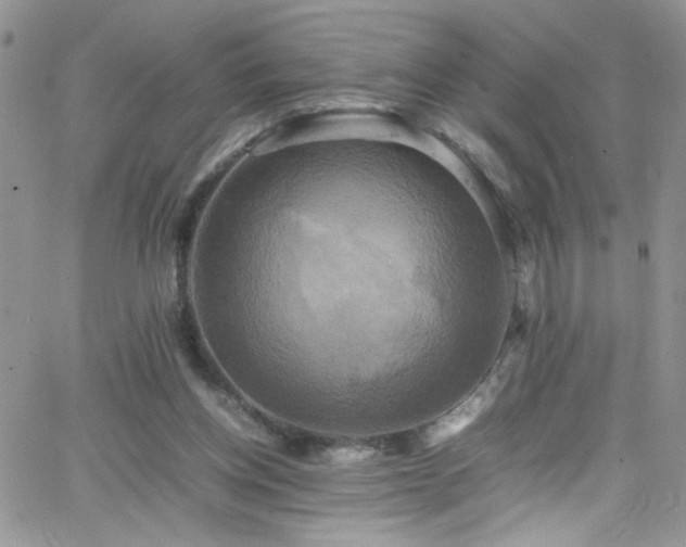 X0000066520158200603201332