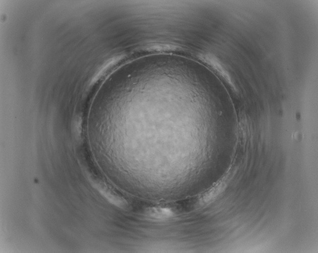 X0000066520159200603201332