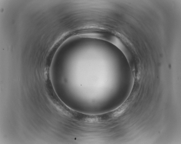 X0000066520160200603201332