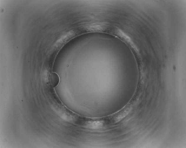 X0000066520161200603201332