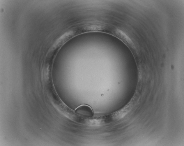 X0000066520163200603201332