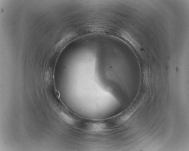 X0000066520165200603201332