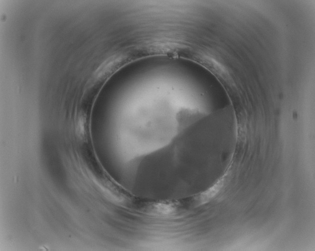 X0000066520166200603201332