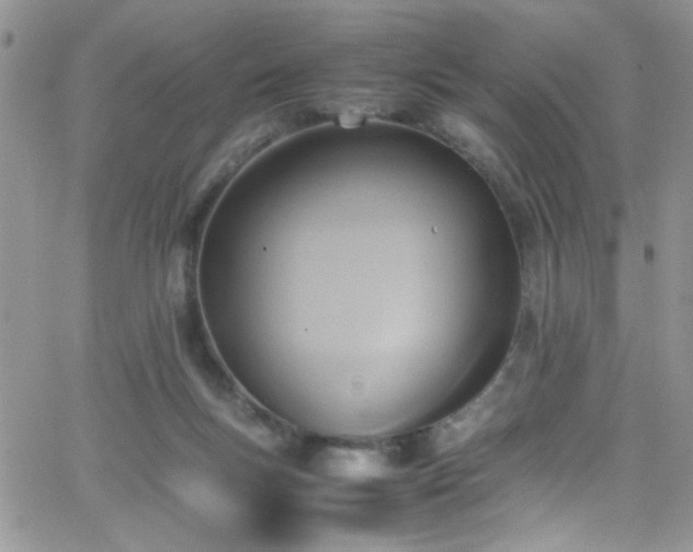 X0000066520167200603201332