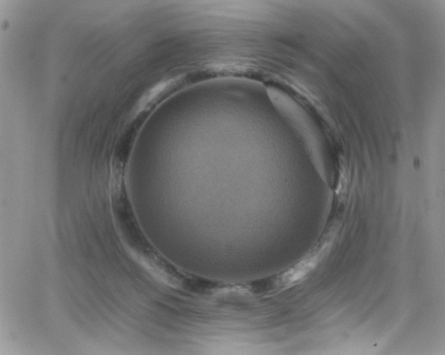 X0000066520168200603201333